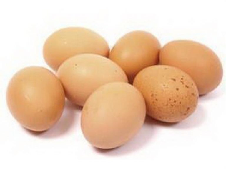 MEDIUM FRESH SHELLED EGGS Bakery and Patisserie Products