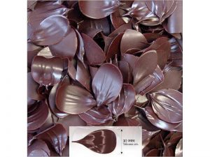 Chocolate Leaves