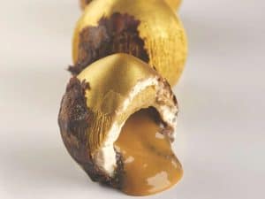 PAVONI MOULD -  AF008 Hazelnut