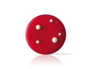 DOBLA Toadstool