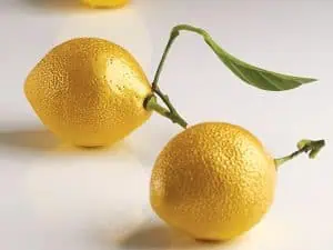 PAVONI MOULD -  AF006 Lemon