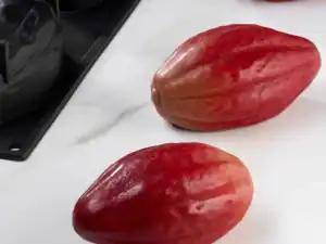 SINGLE SERVING PORTION CACAO PODS - SHAPED SILICON MOULD - CABOSSE PAVONI