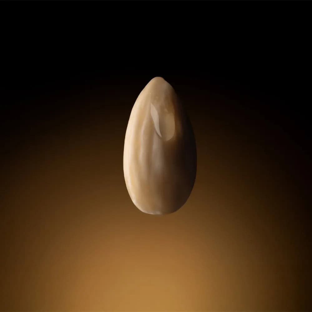 500 ML ALMOND EXTRACT PROVA - Image 3