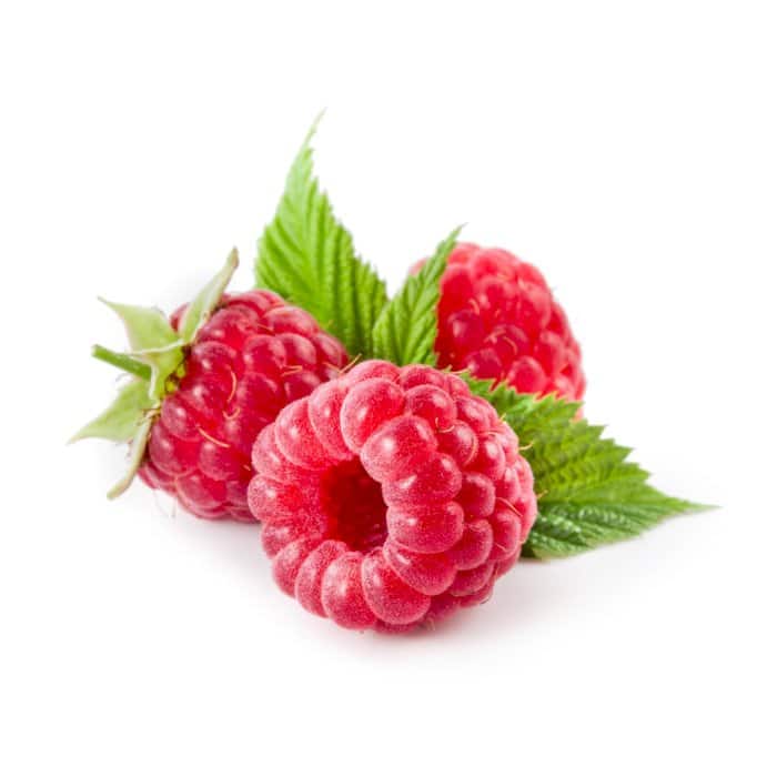 RASPBERRY PUREE *FROZEN* 10 KG - Image 2